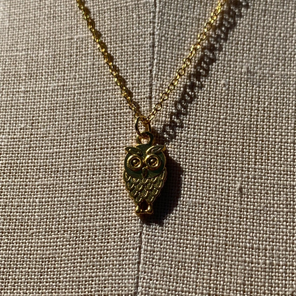 NWT Sterling Silver Plated Chain & Alloy Owl Charm Necklace - Picture 4 of 11